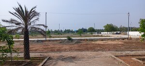Plot Area in  Plot at Thiruverumbur – for Sale