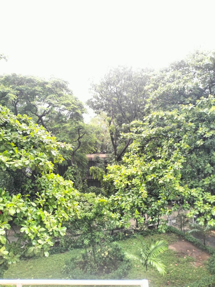 Garden, hill-top-chs 2 Bedroom 1050 Sq.Ft. Apartment In Pali Hill Mumbai 8724002