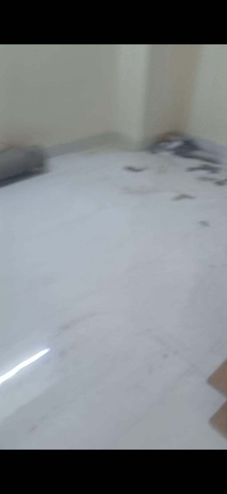 1.5 BHK + Extra Room Builder Floor For Rent in Builder Floor