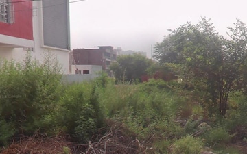 Plot For Sale in Sector 115