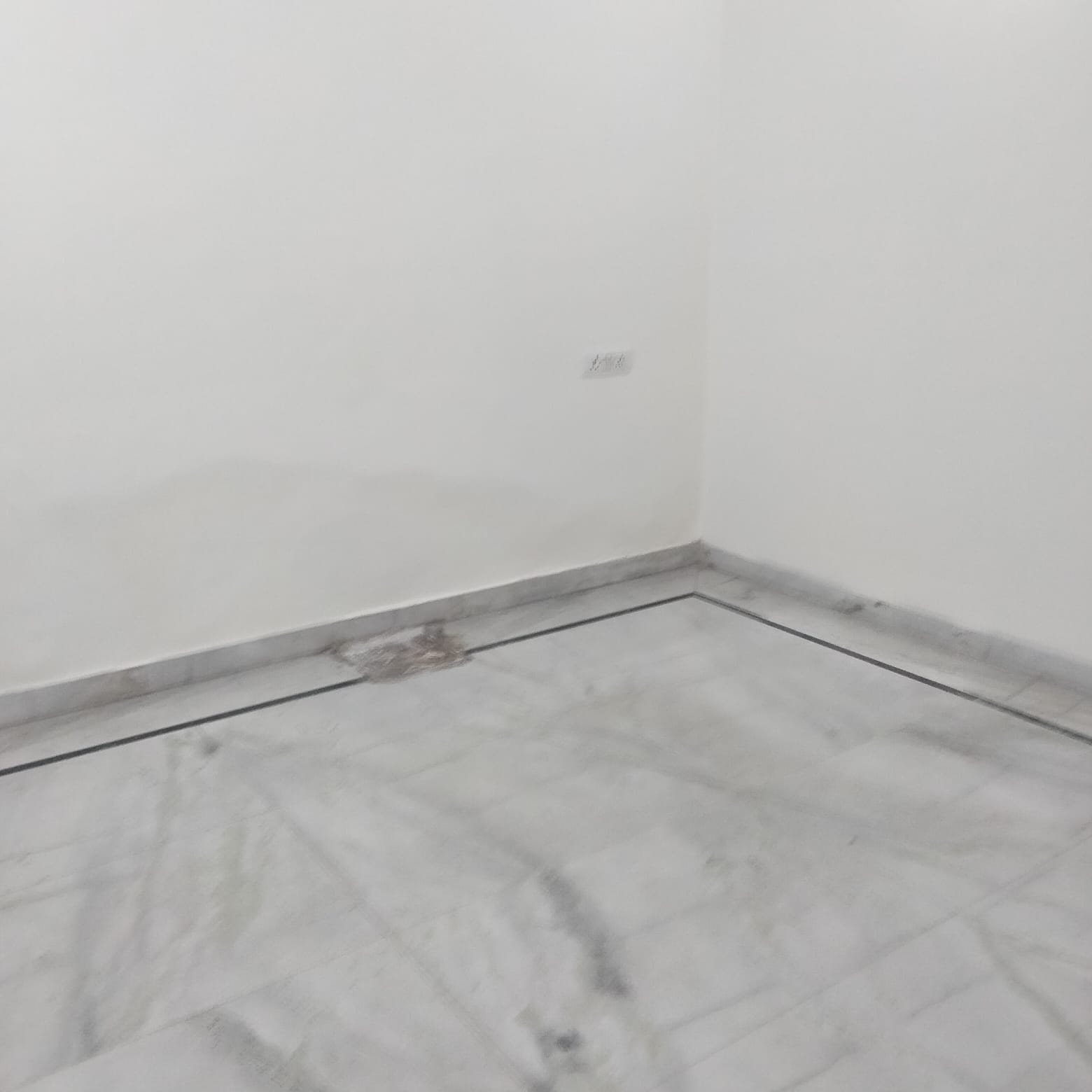 3 BHK Builder Floor For Rent in Lajpat Nagar III