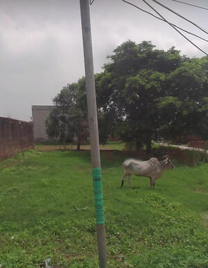  Plot For Sale in Sector 127