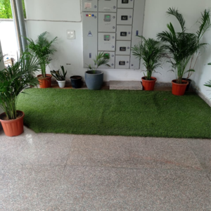 Parking in 3.5 BHK Builder Floor at Hong Kong Bazaar, Sector 56 – for Sale