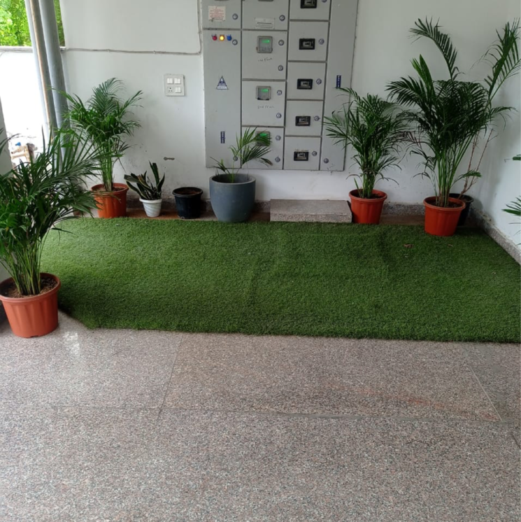  Parking, hong-kong-bazaar 3.5 Bedroom 204 Sq.Yd. Builder Floor In Sector 56 Gurgaon 8725179