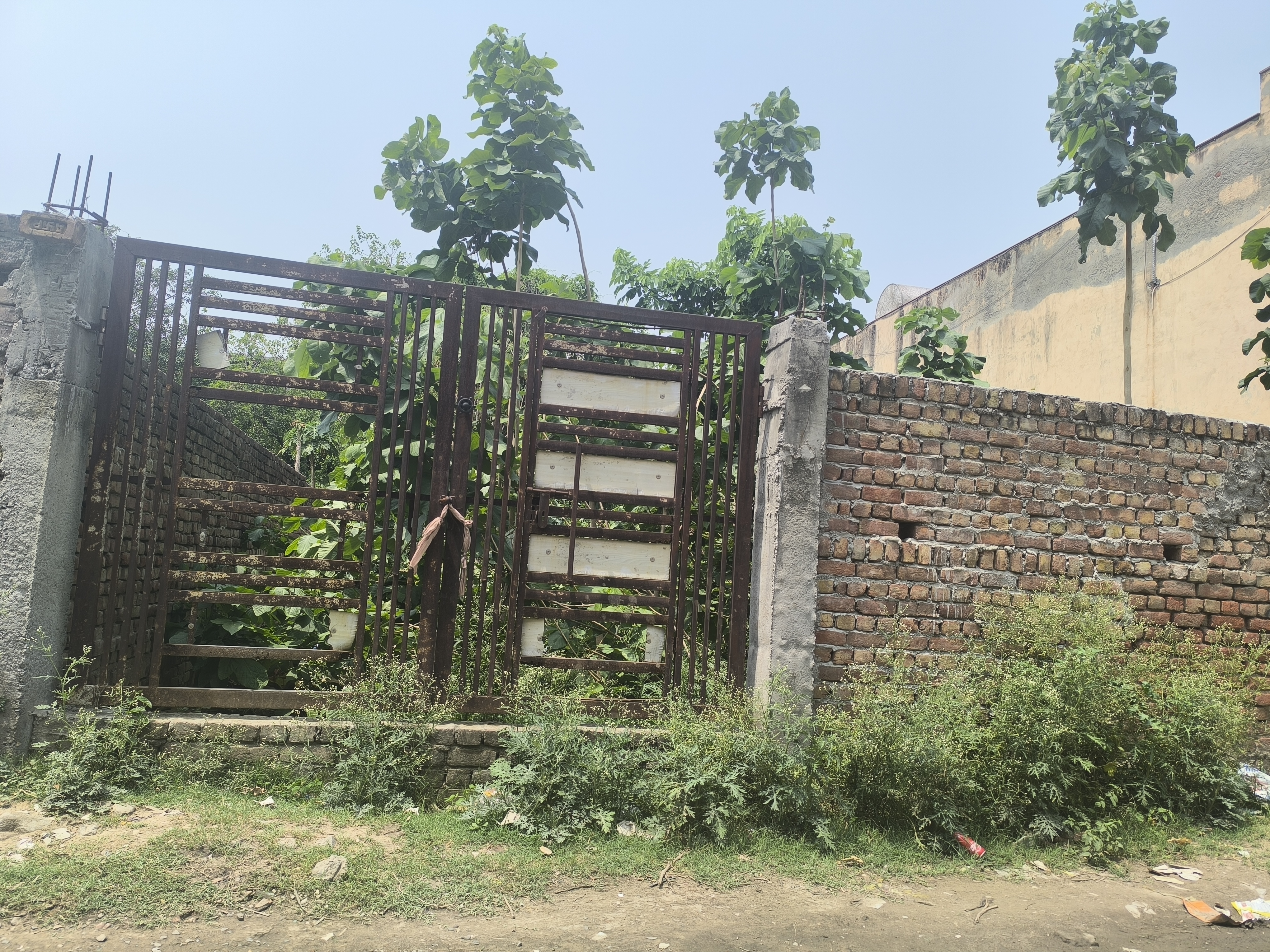 Plot For Sale in Independent Plot