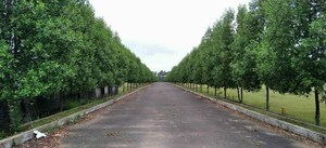   Plot at Bhogapuram – for Sale