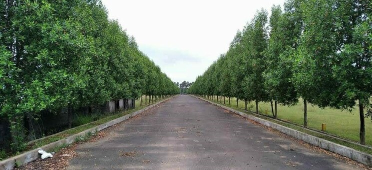 Other, bhogapuram  150 Sq.Yd. Plot In Bhogapuram Vizag 8725810