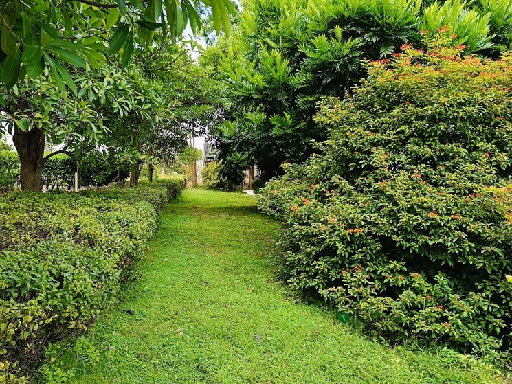 Garden, century-wintersun 4 Bedroom 4978 Sq.Ft. Villa In Doddaballapur Road Bangalore 8726580