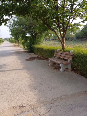  Plot For Sale in Jewar