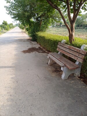  Plot – Exterior View View at Jewar - for Sale