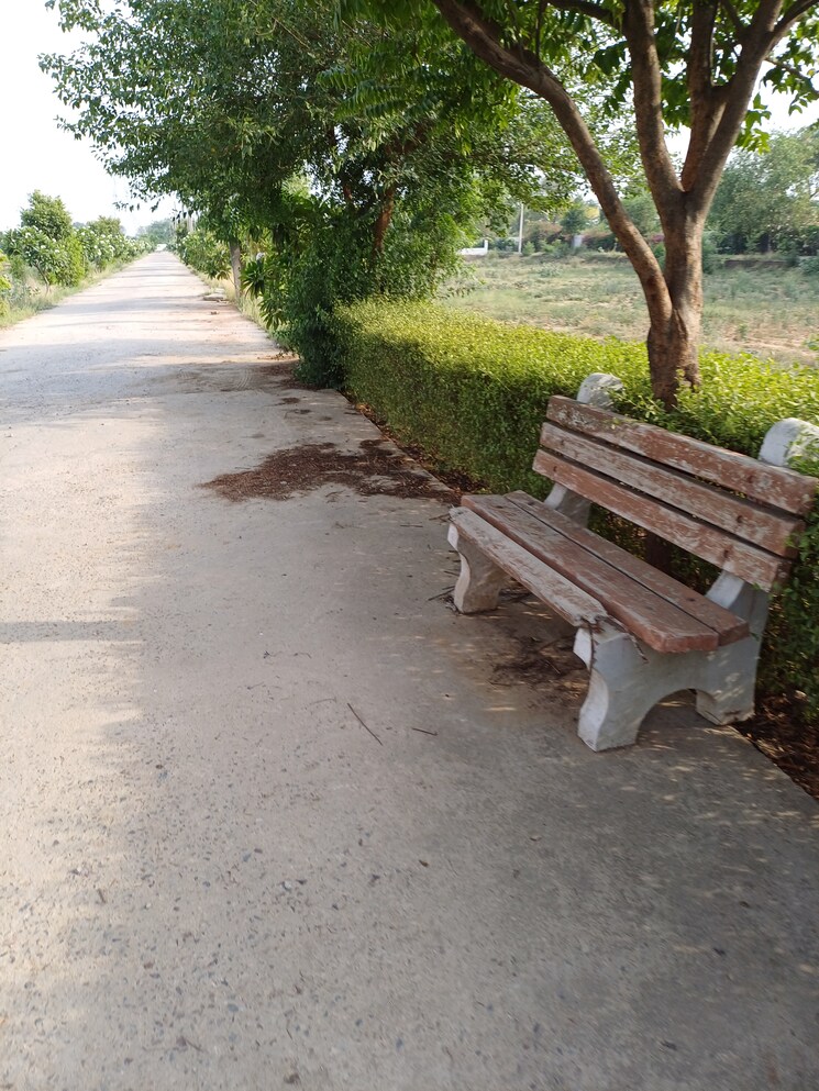 Exterior View, jewar  122 Sq.Yd. Plot In Jewar Greater Noida 8727868