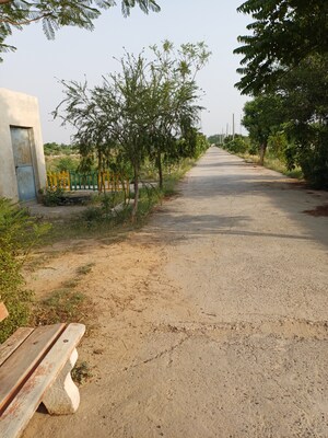  Plot For Sale in Jewar