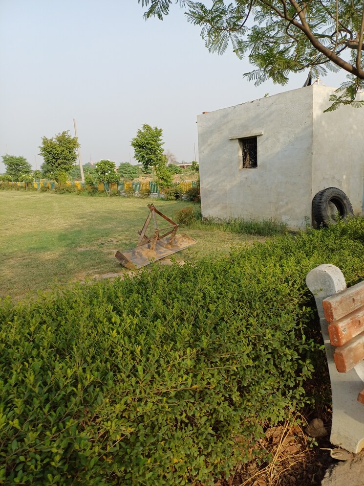 Garden, jewar  122 Sq.Yd. Plot In Jewar Greater Noida 8727868