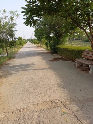  Plot For Sale in Jewar