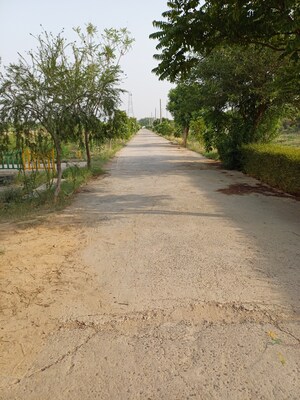  Plot – Exterior View View at Jewar - for Sale