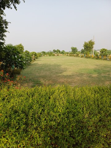  Plot – Garden View at Jewar - for Sale