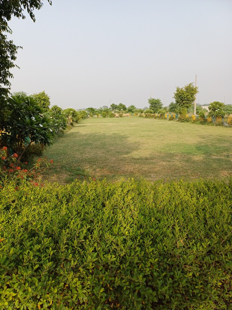 Garden, jewar  123 Sq.Yd. Plot In Jewar Greater Noida 8727925