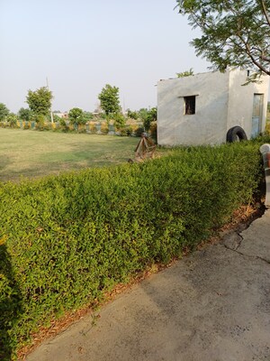  Plot – Garden View at Jewar - for Sale