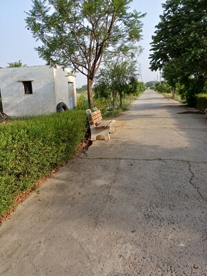  Plot For Sale in Jewar