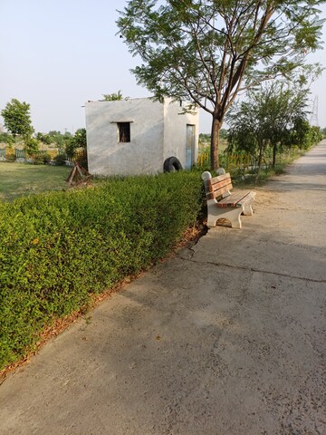  Plot – Exterior View View at Jewar - for Sale