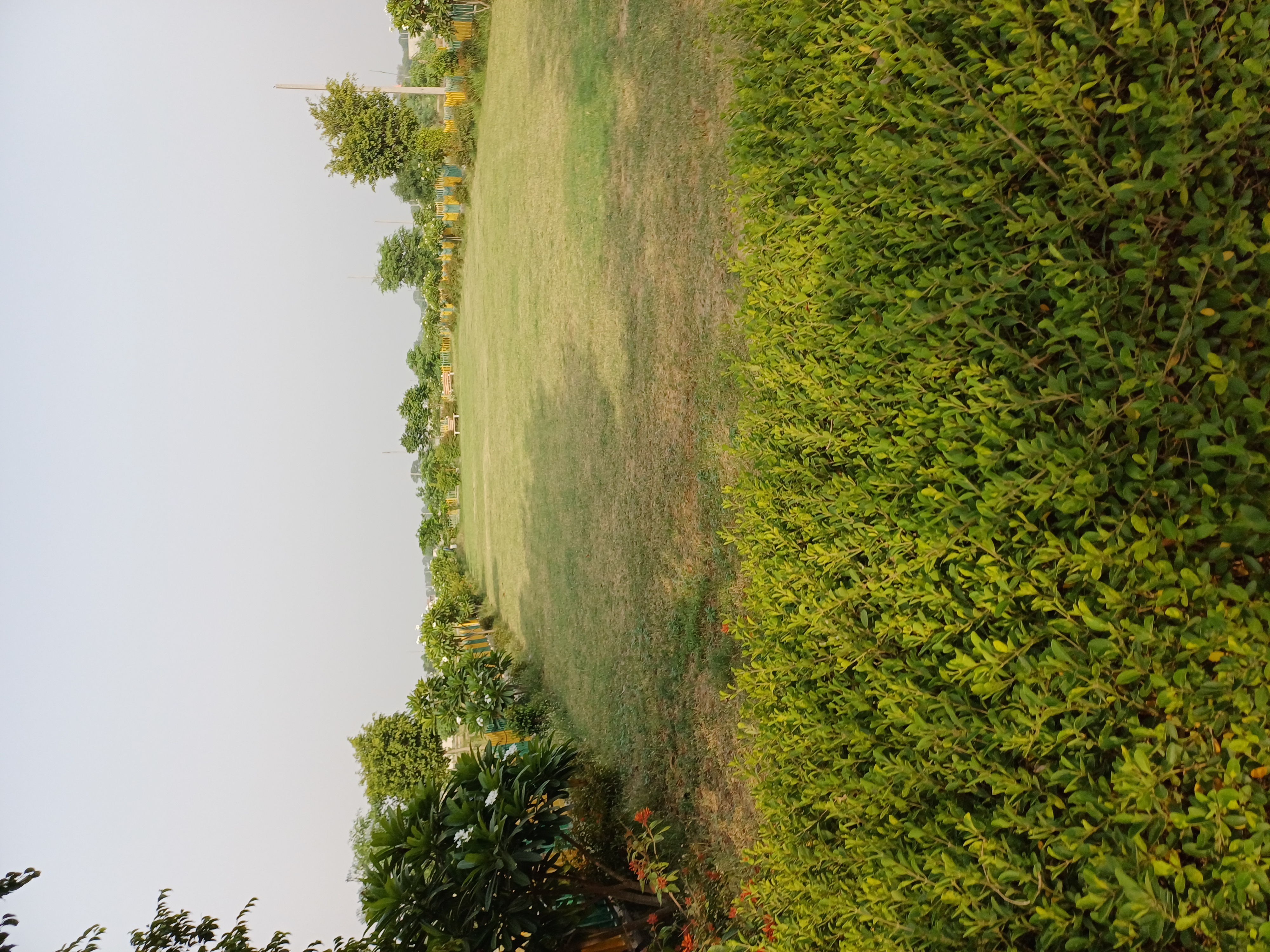 Plot For Sale in Harit City 