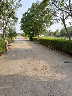  Plot – Exterior View View at Jewar - for Sale