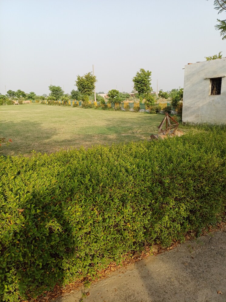 Garden, jewar  125 Sq.Yd. Plot In Jewar Greater Noida 8728075