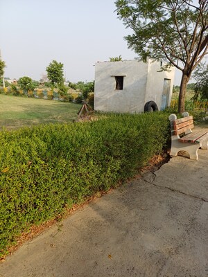  Plot – Exterior View View at Jewar - for Sale