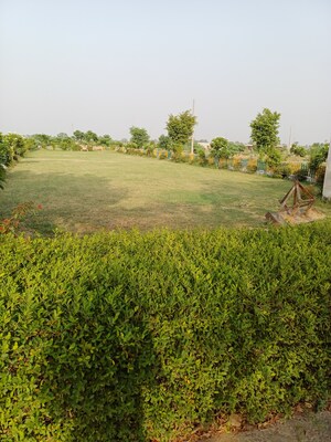  Plot – Garden View at Jewar - for Sale