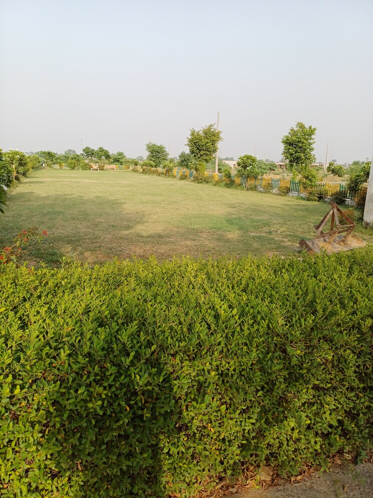 Garden, jewar  126 Sq.Yd. Plot In Jewar Greater Noida 8728096