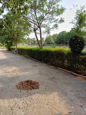  Plot – Exterior View View at Jewar - for Sale