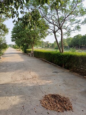  Plot – Garden View at Jewar - for Sale