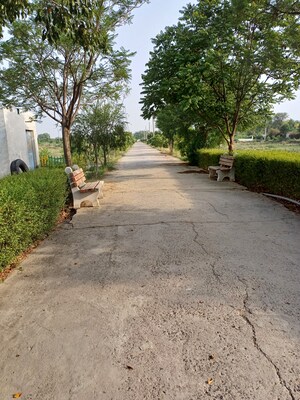  Plot For Sale in Jewar