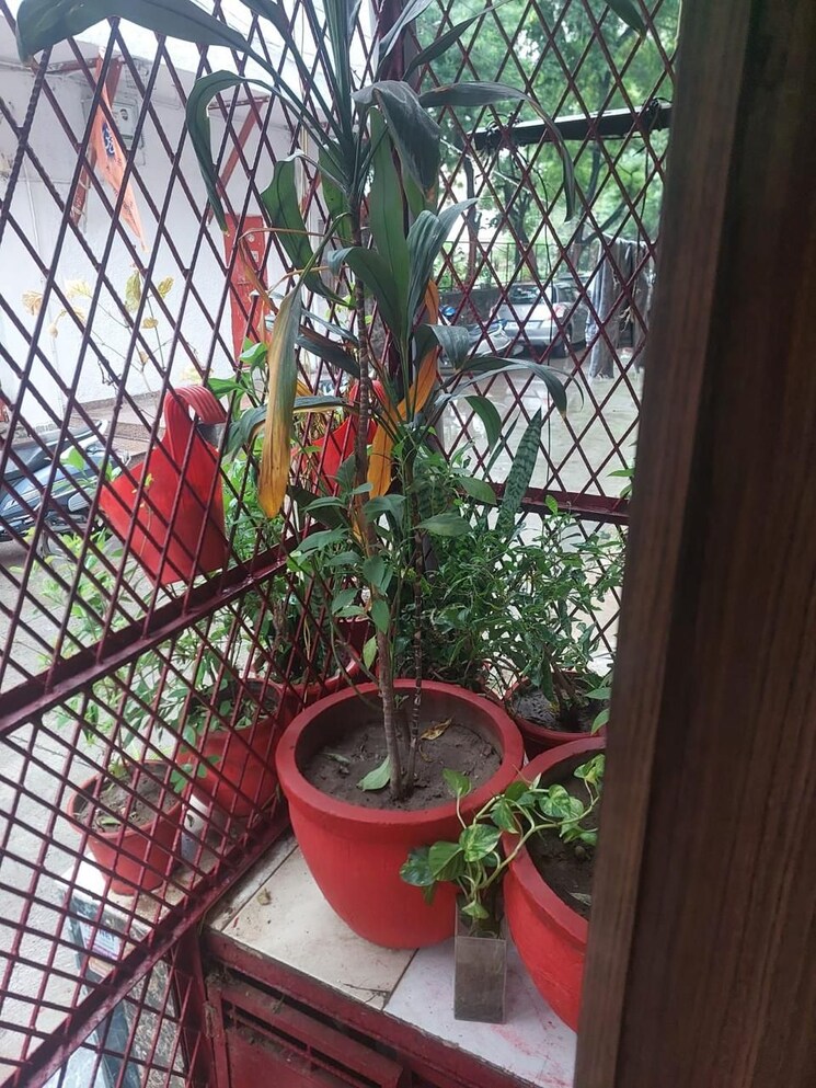 Balcony, lajpat nagar ii 3 Bedroom 1000 Sq.Ft. Builder Floor In Lajpat Nagar ii Delhi 8728038