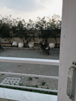 1 Rk  + Pooja Room 300 Sq.Ft. Apartment in Pioneer Park Presidia