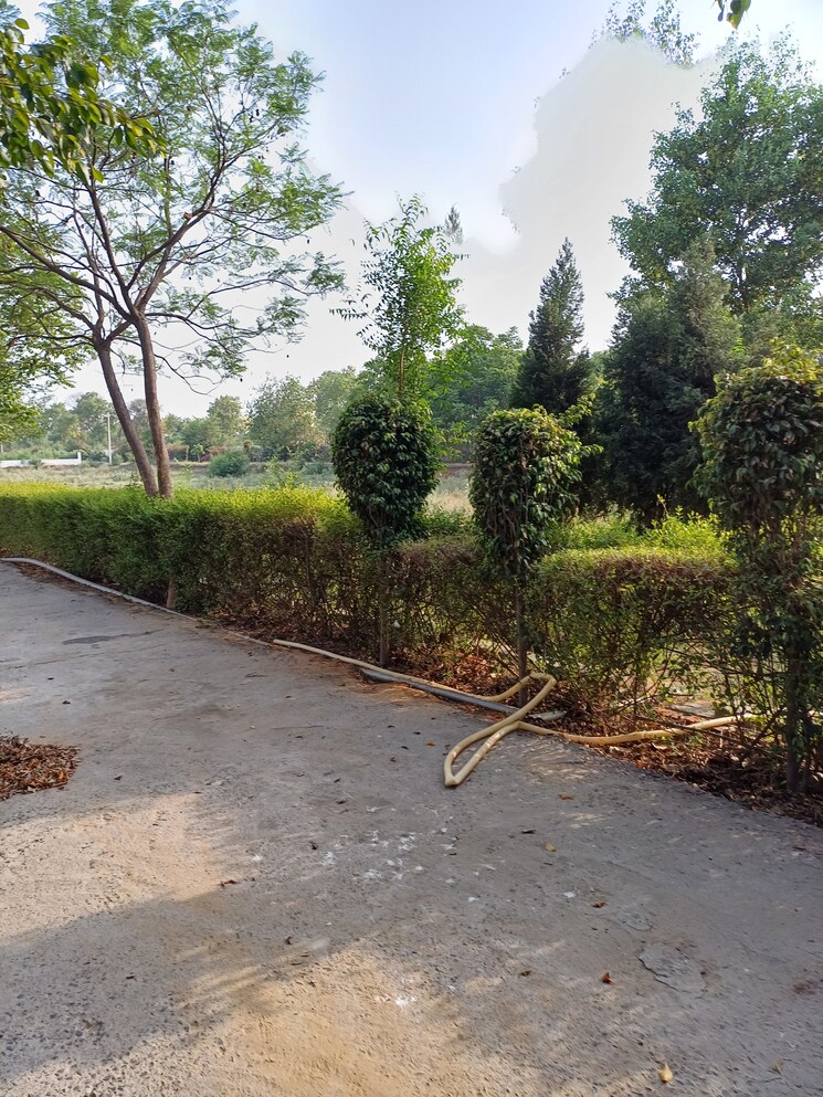 Exterior View, jewar  127 Sq.Yd. Plot In Jewar Greater Noida 8728656