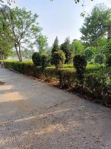  Plot For Sale in Jewar