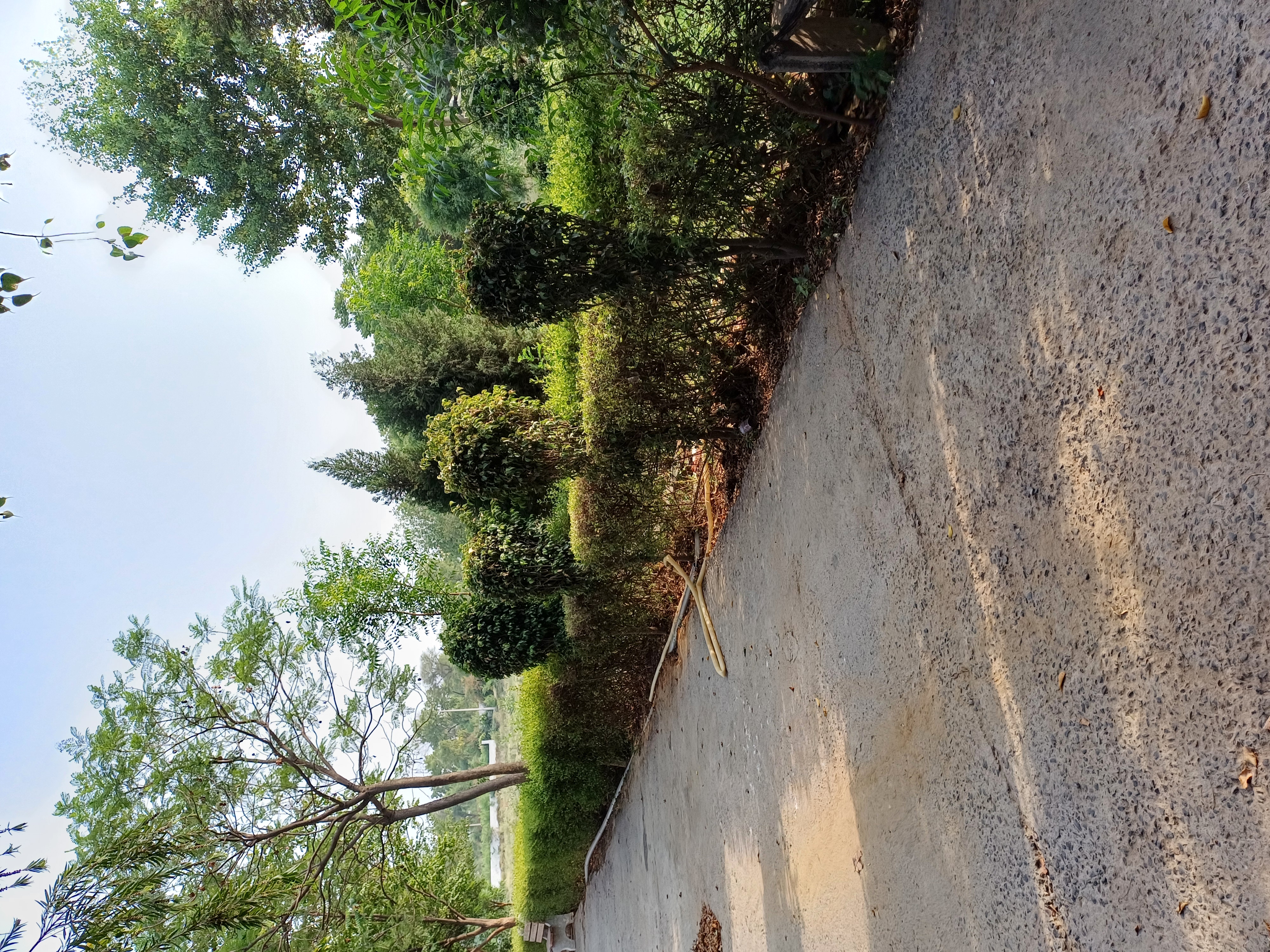 Plot For Sale in Harit City 