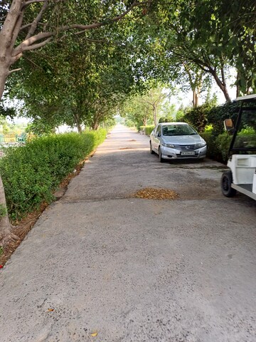  Plot – Exterior View View at Jewar - for Sale