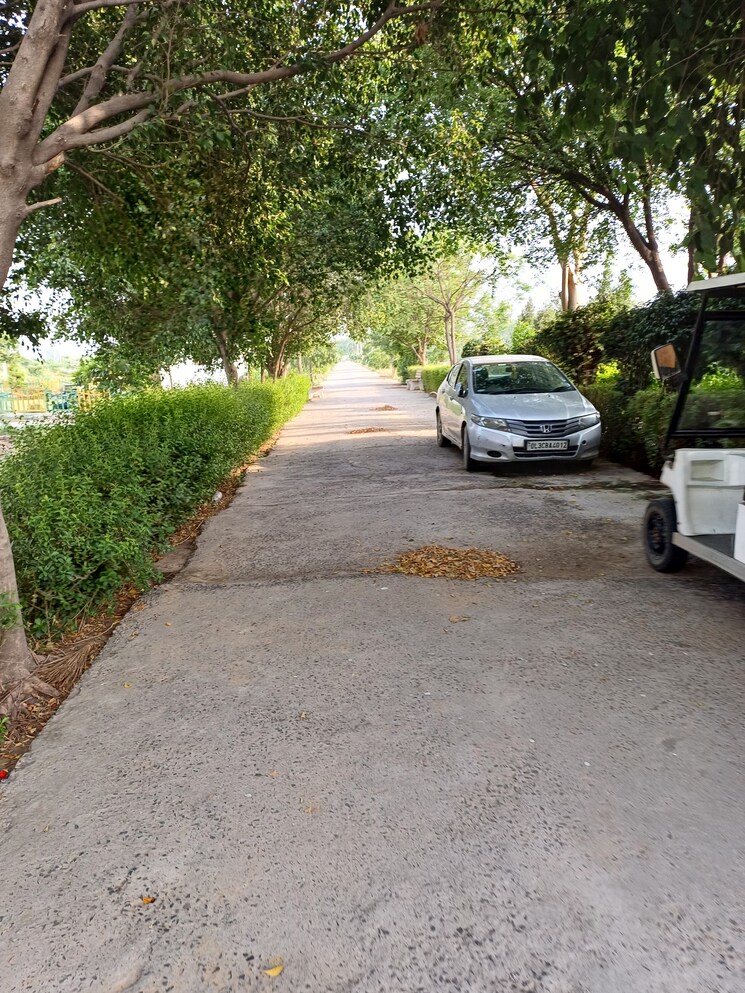 Exterior View, jewar  127 Sq.Yd. Plot In Jewar Greater Noida 8728656