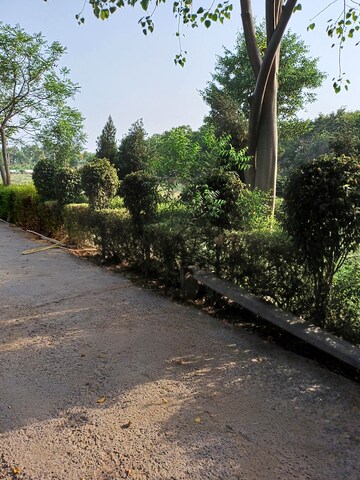  Plot – Garden View at Jewar - for Sale