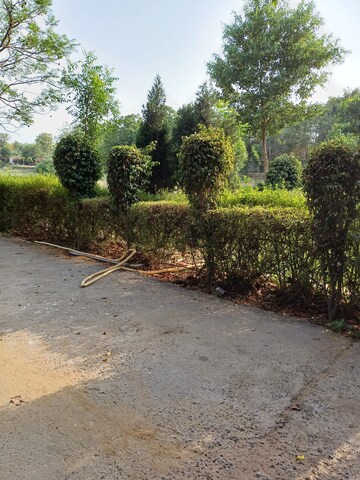  Plot For Sale in Jewar