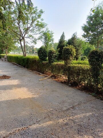  Plot For Sale in Jewar