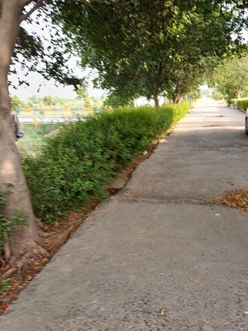  Plot – Garden View at Jewar - for Sale