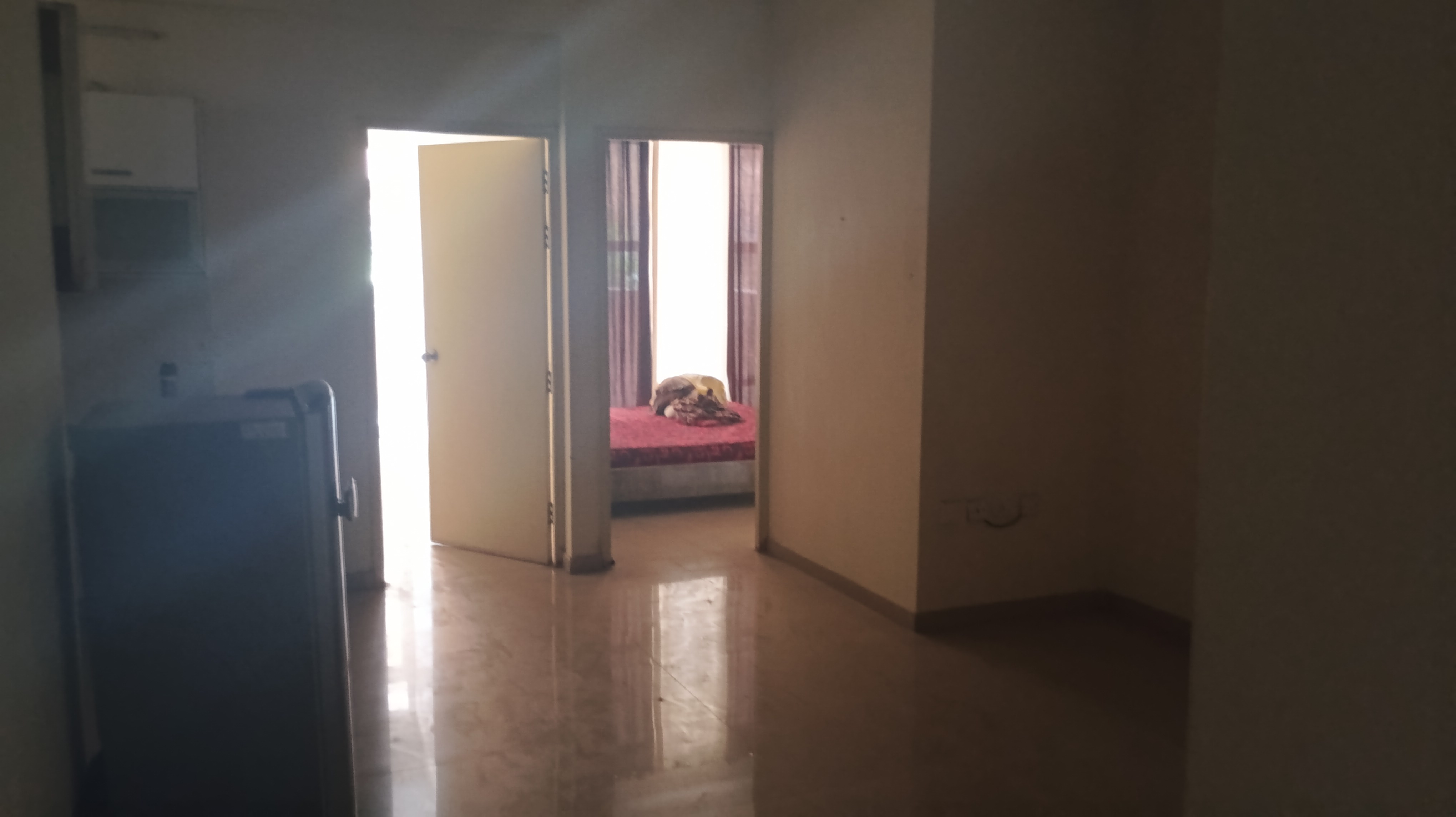 2 BHK Apartment For Rent in Pyramid Urban Homes 2