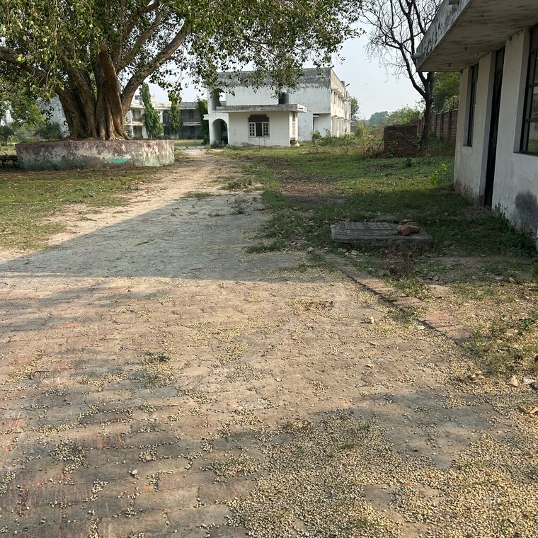undefined, sampla Commercial Land 11 Acre In Sampla Rohtak 8729814