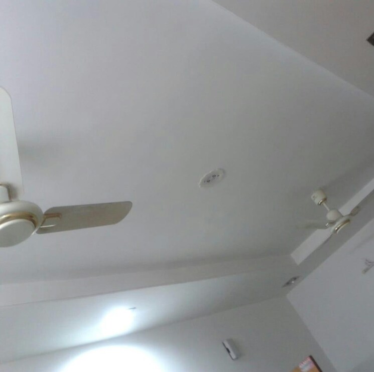 Other, chatrapati nagar Commercial Office Space 1450 Sq.Ft. In Chatrapati Nagar Nagpur 8730263