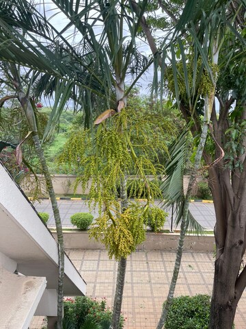 3 BHK Apartment For Rent in Alpine Pyramid, Sahakara Nagar