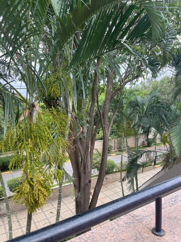 Balcony in 3 BHK Apartment at Alpine Pyramid, Sahakara Nagar – for Rent
