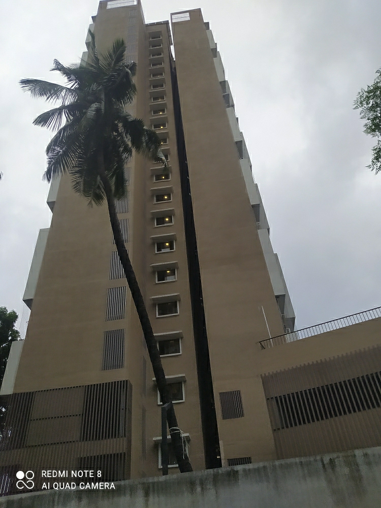 1 BHK Apartment For Rent in Kolte Patil Vaayu